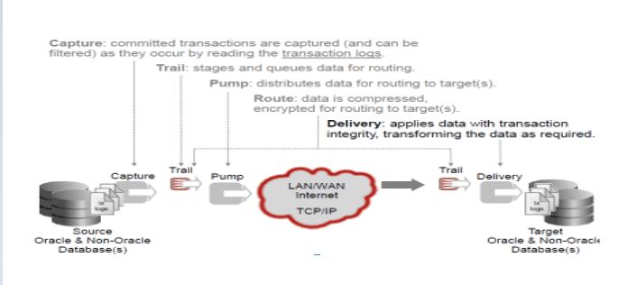 Golden Gate Flow with Diagram