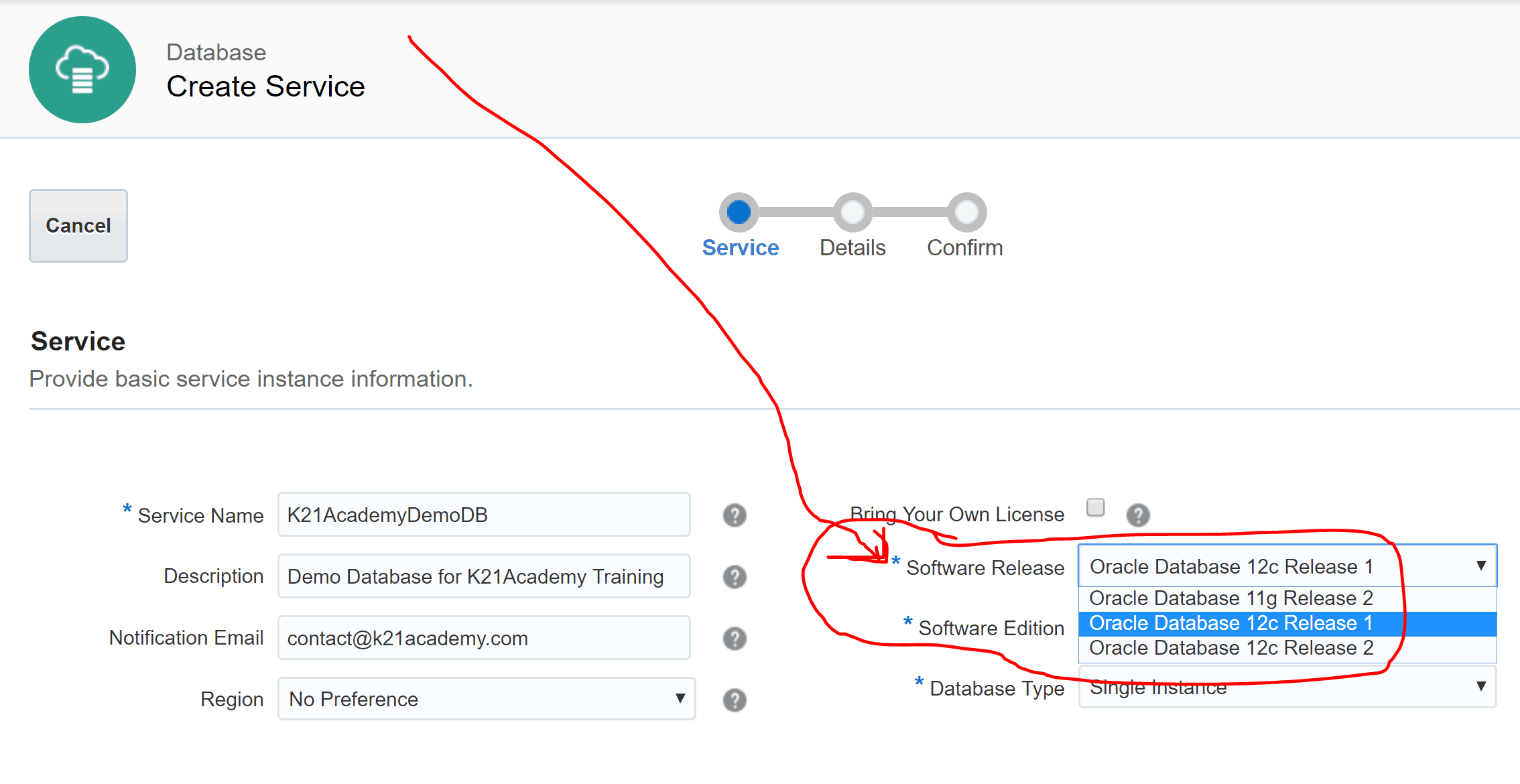 Create specific software release