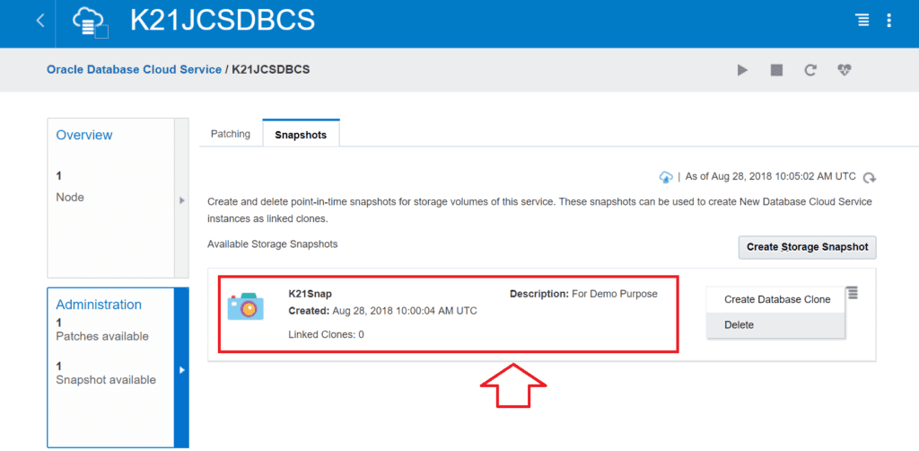 Oracle Database Cloud Snapshot