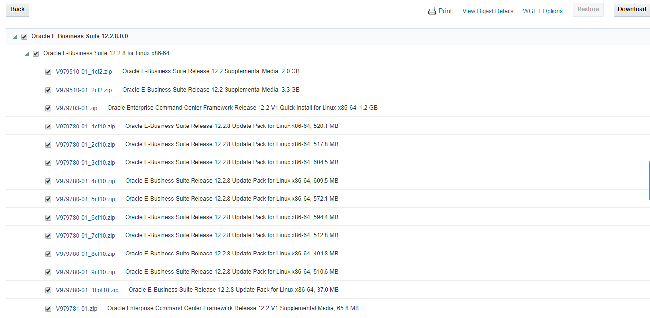 EBS 12.2.8 Software Download
