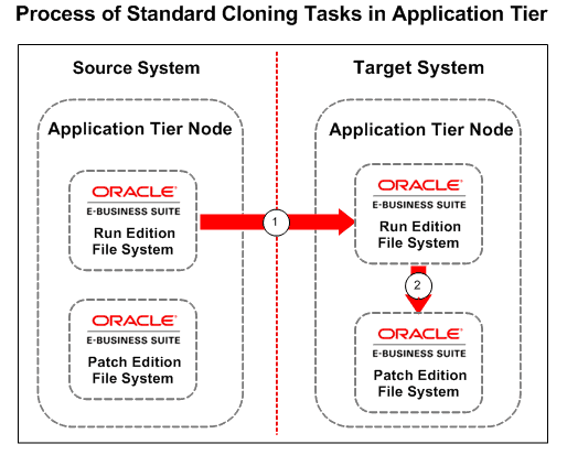 Process of Standard Cloning Task