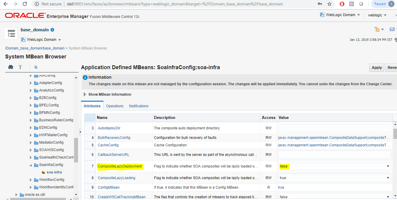 SOA Infrastructure