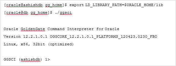 Set Library path