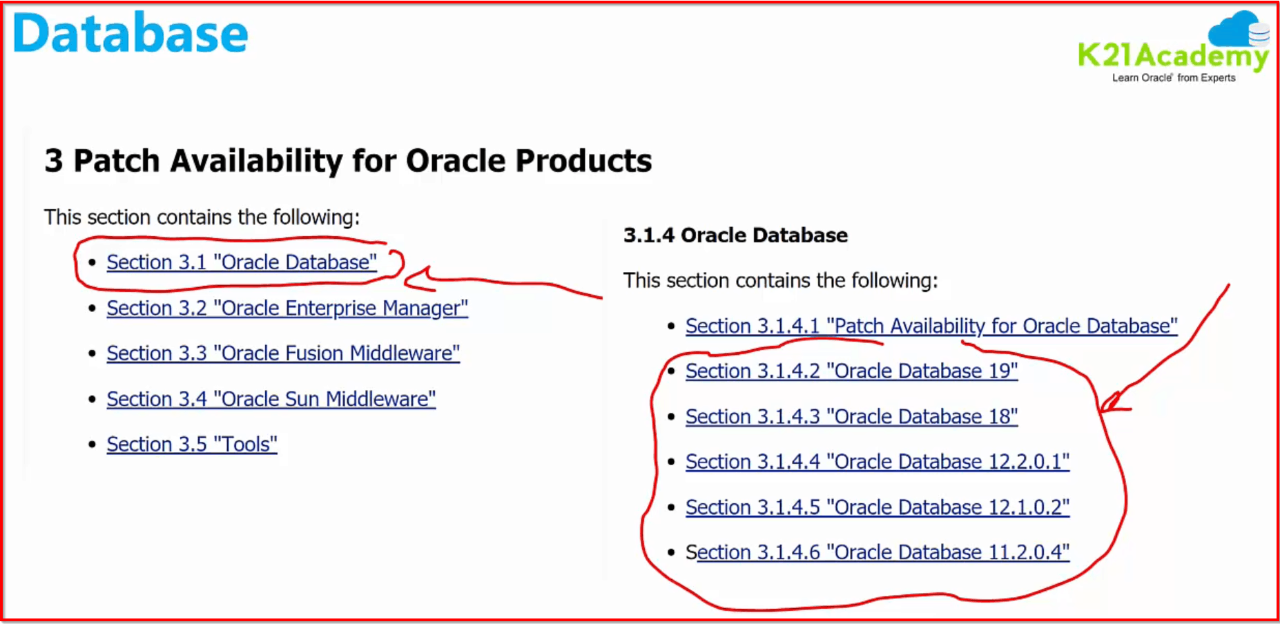 Database Patch