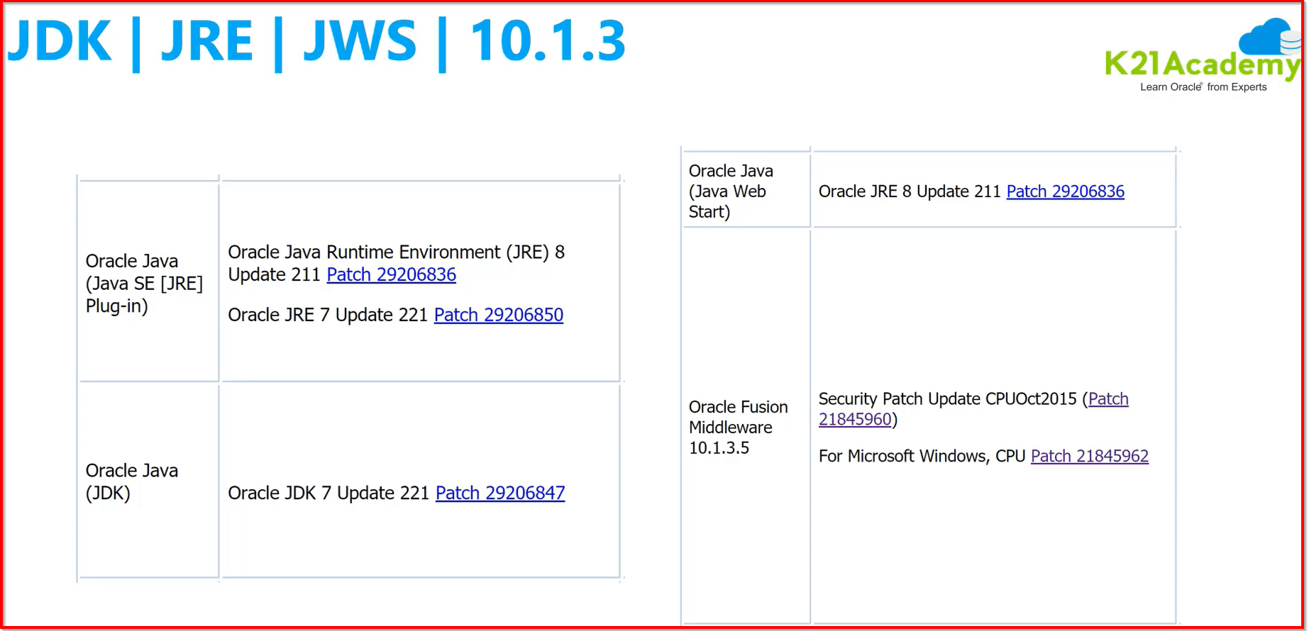 JDK, JRE, JWS Patches