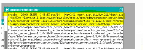 java status