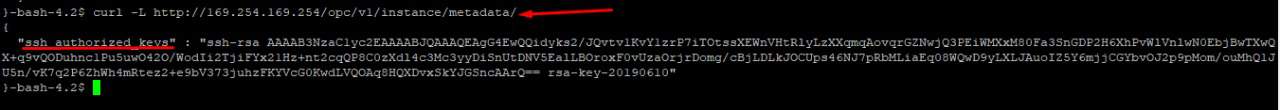 Instance metadata