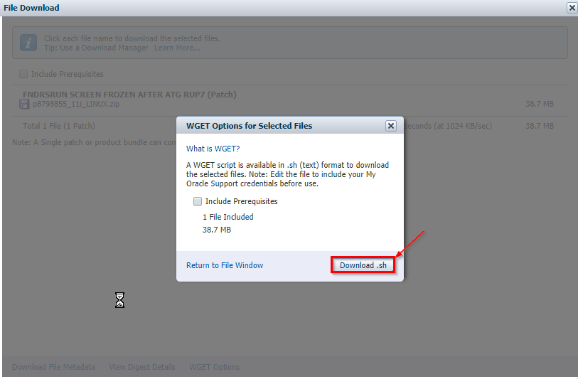 WGET oracle EBS MOS script patch download E-Business suit erp
