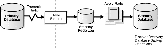 Data Guard Configuration