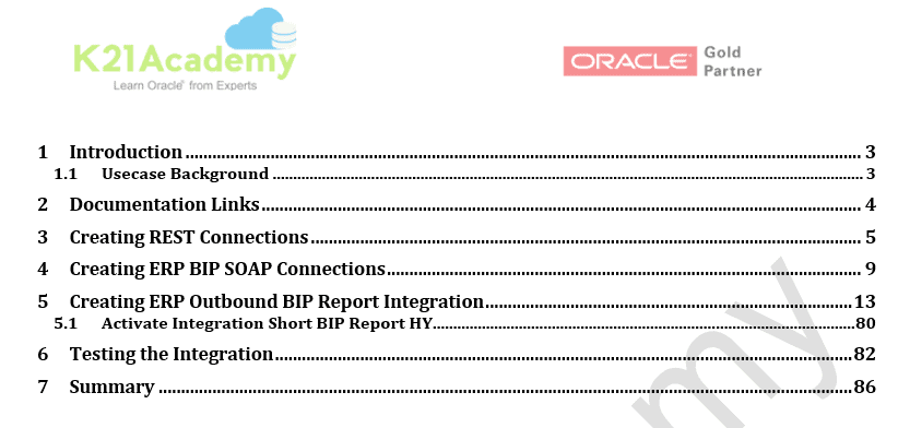 ERP Outbound BIP Report