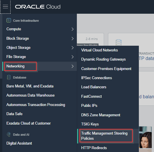 traffic management steering policies