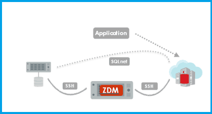 Zero Downtime Migration