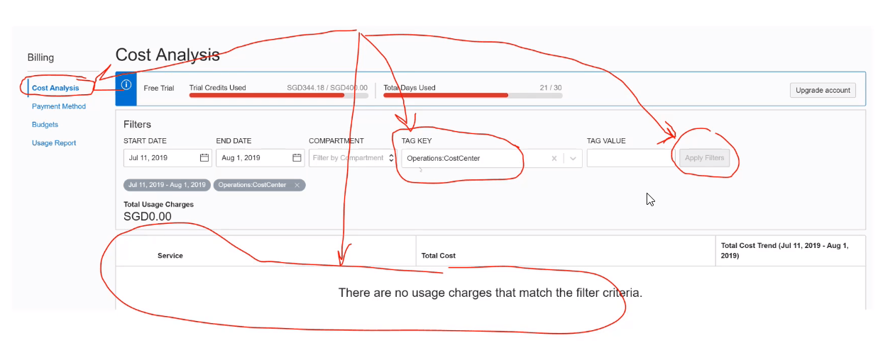 cost analysis window