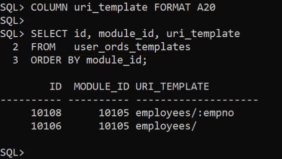 ORDS Template Definition
