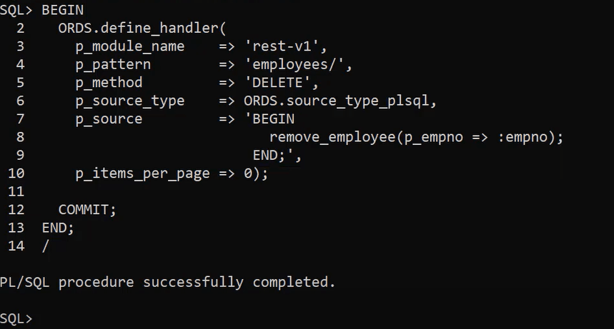 ORDS Adding a new handler