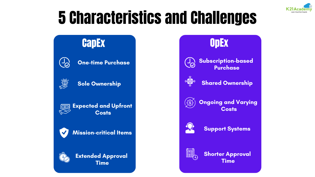 capex and opex characteristics