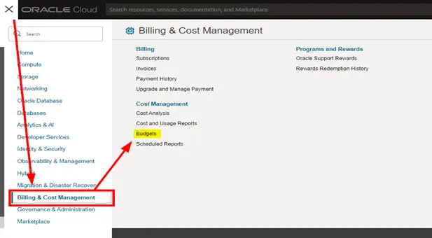 OCI Budgets