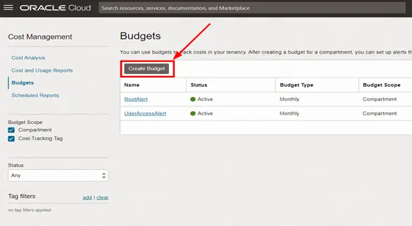 OCI Budgets