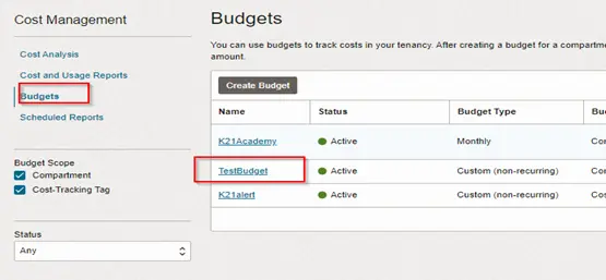 OCI Budgets