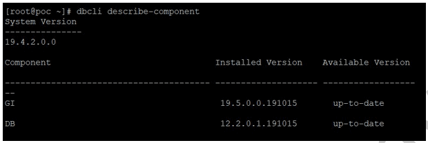installed patch version
