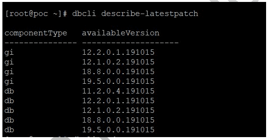 latest patch version