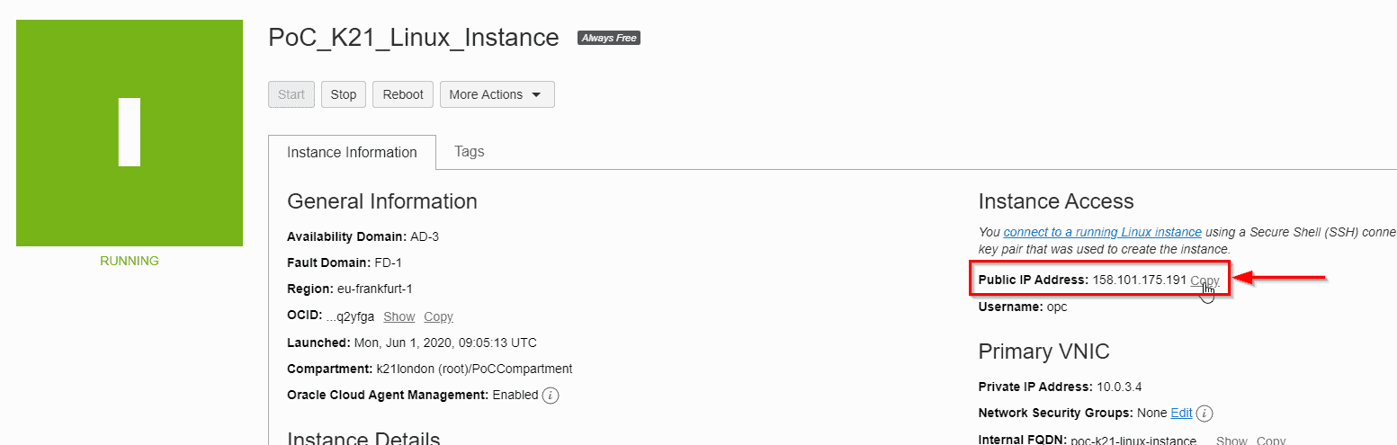 public ip address of instance