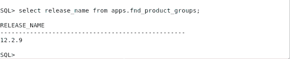 Checking EBS Version