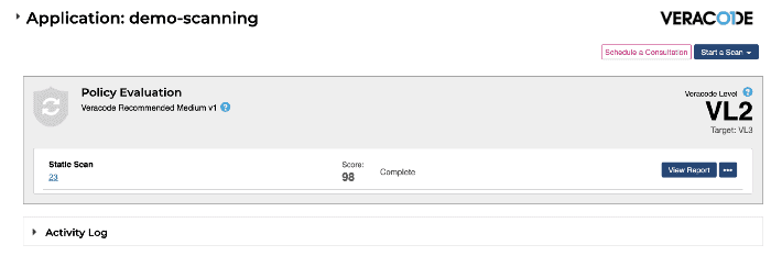Veracode scan report download