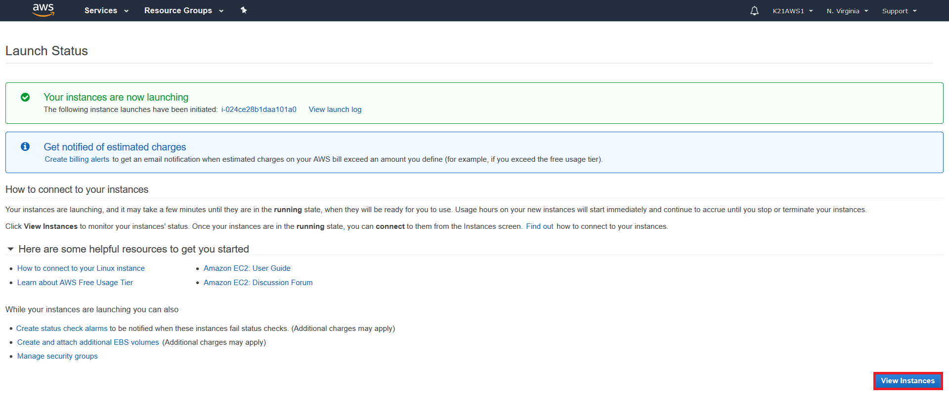View Instance