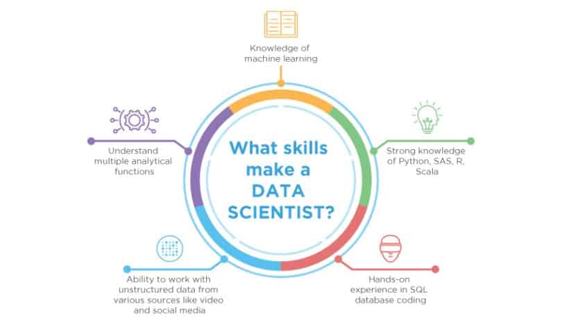 Data Scientist Skills.