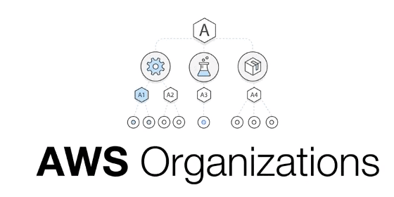 AWS organization