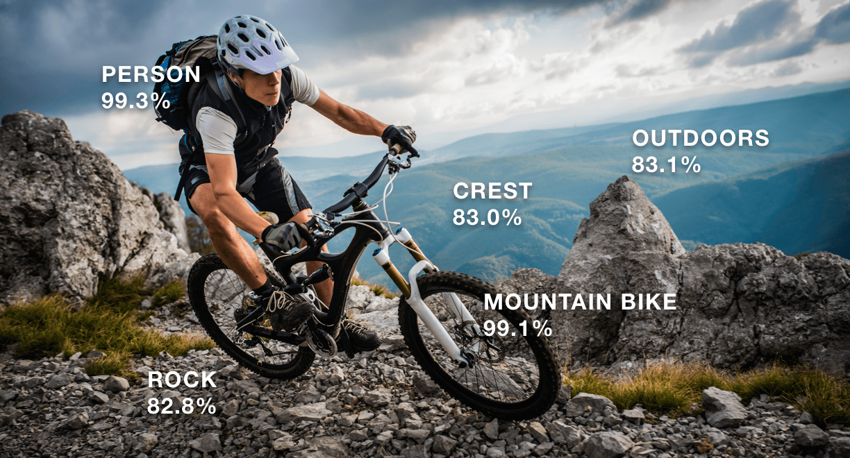 Label-detection-aws-ml