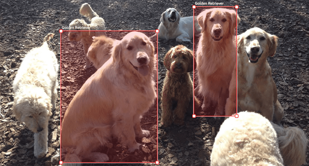 custom-labels-aws-ml