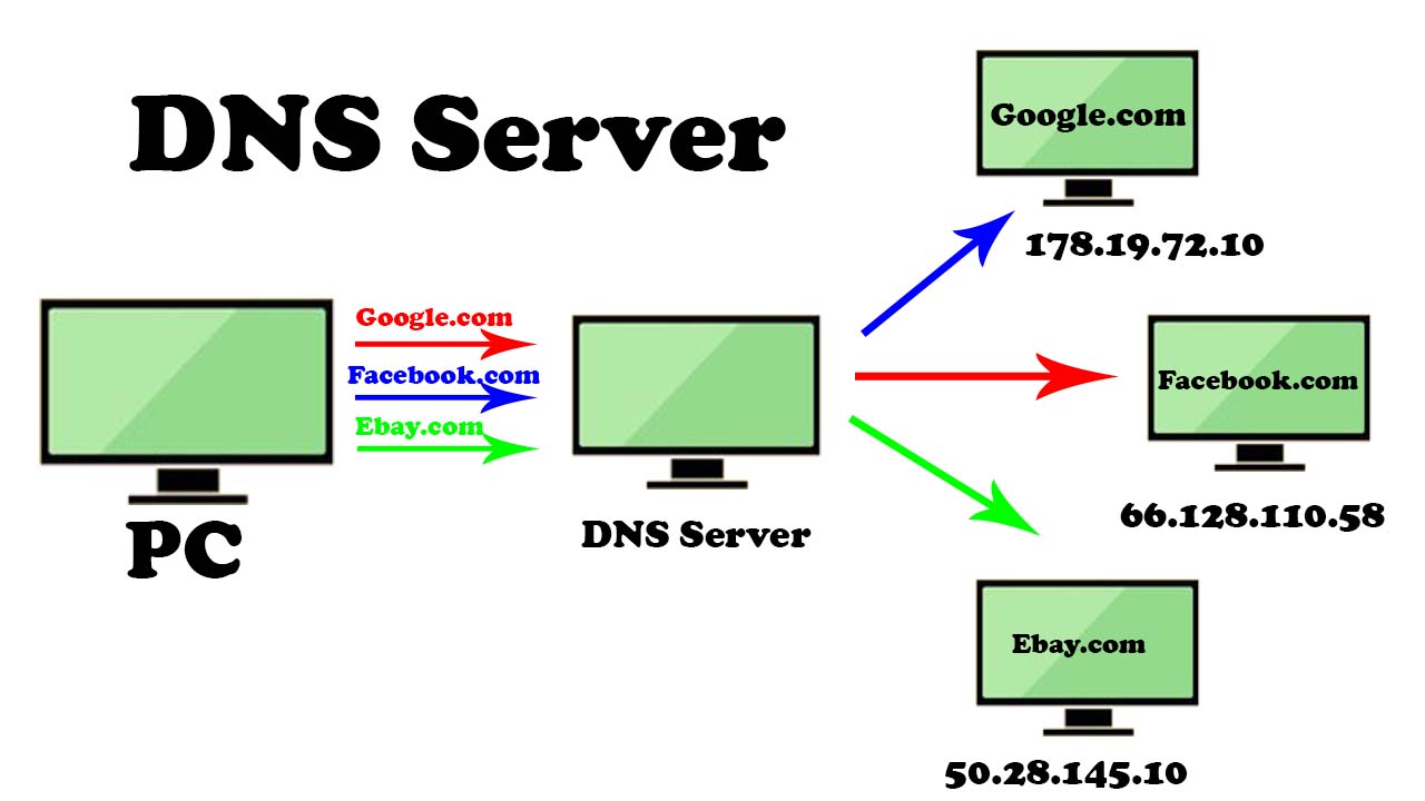 Domain Name Server