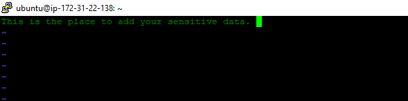 Adding text in encrypted file