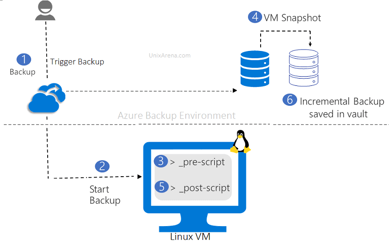 Windows VM vs LINUX Machine
