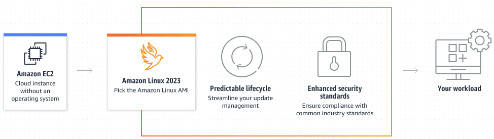 AWS Linux EC2 Instance