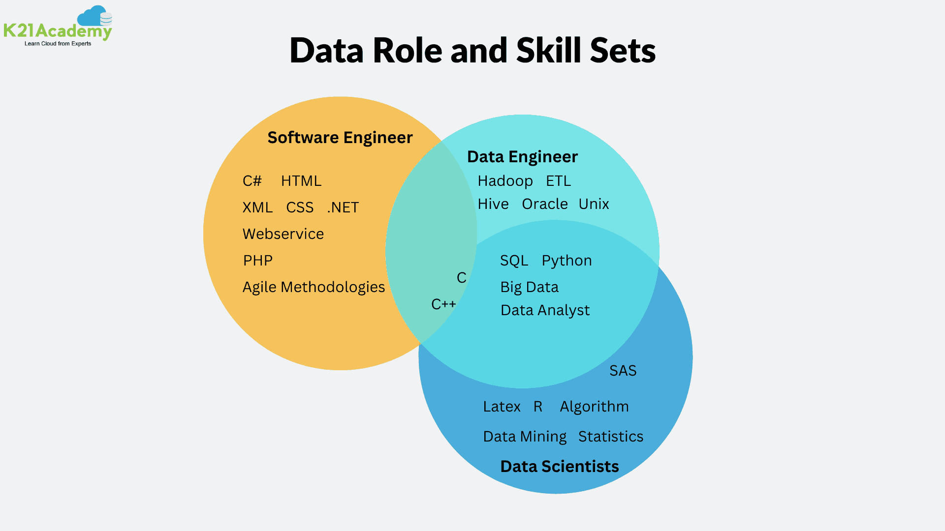 Differences and Similarities Between Data Science and Software Engineering 