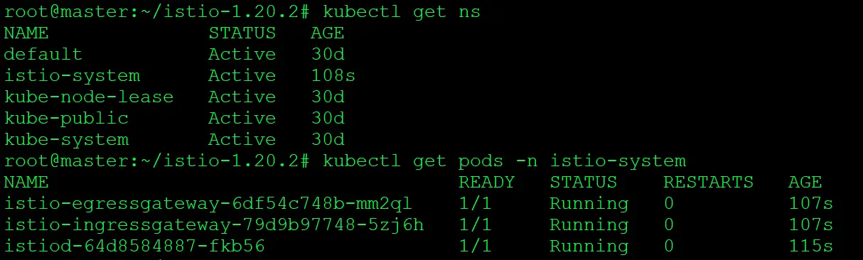 Verify that Istio has installed and ensure that all pods are running