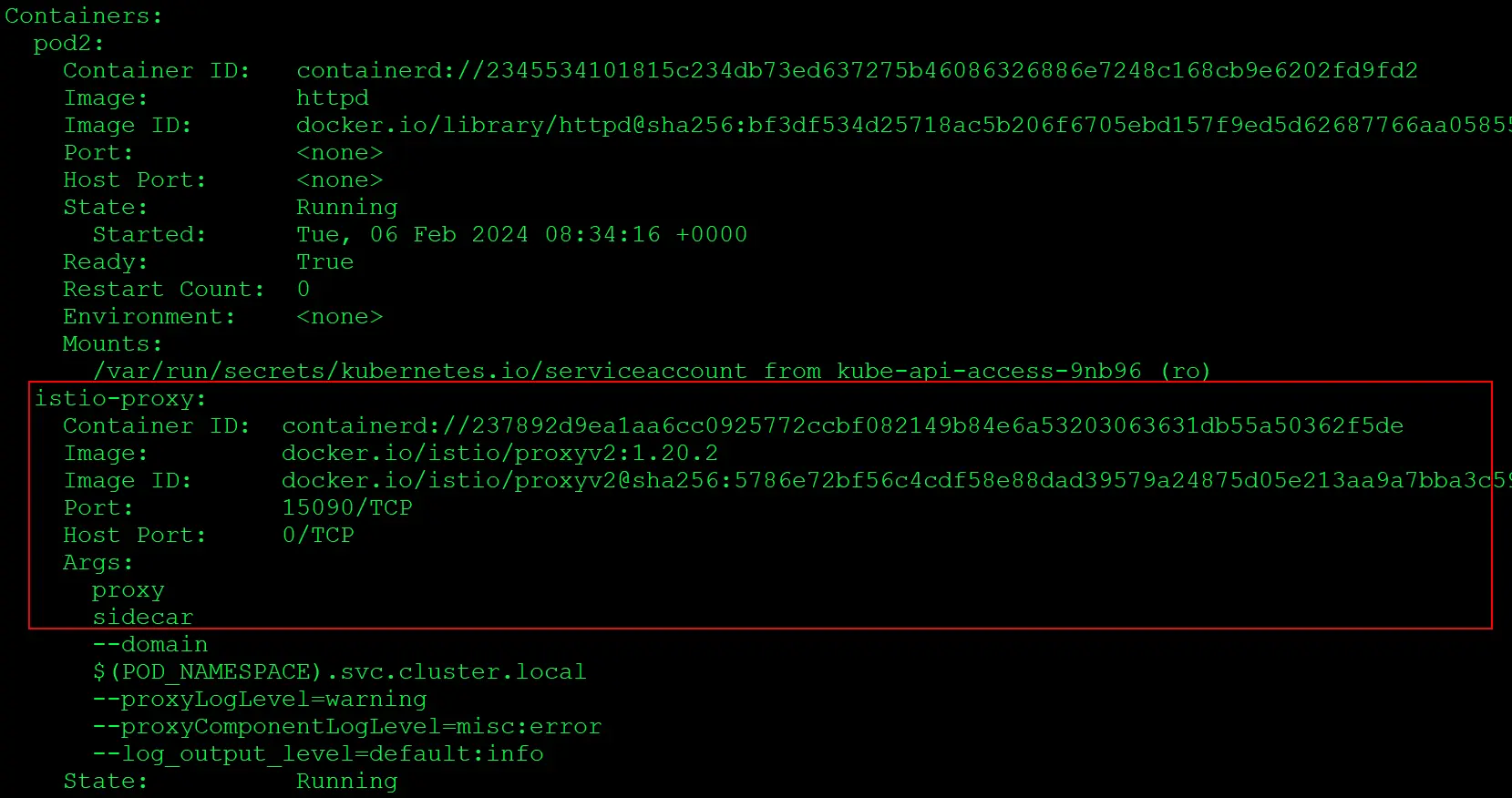 Describe the pod and check the containers