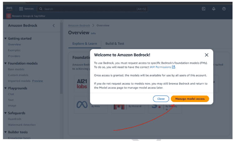 Manage Model Access Option
