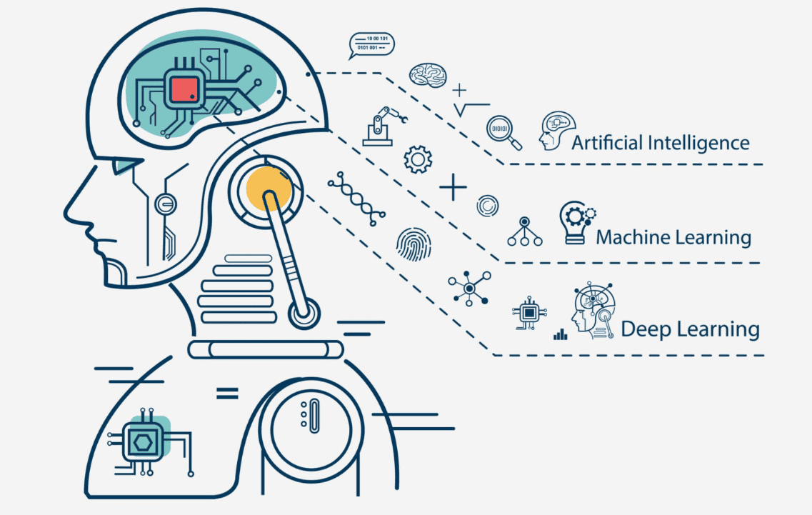 Skills and Qualifications Needed