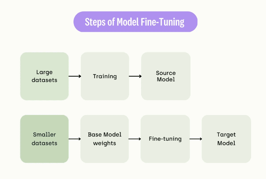 Steps Vision fine tuning