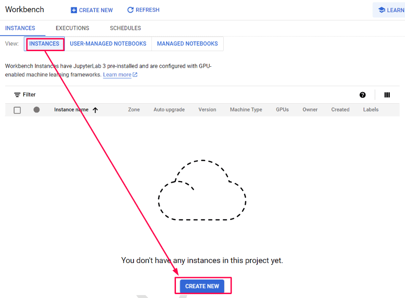 From there, within Instances, click Create New: