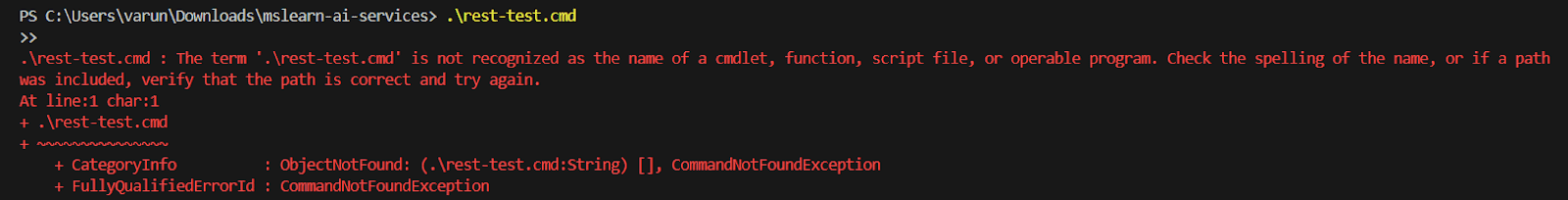 CommandNotFoundException