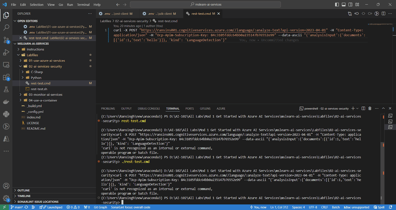 Curl Command is not Recognized